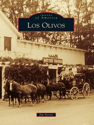 cover image of Los Olivos
